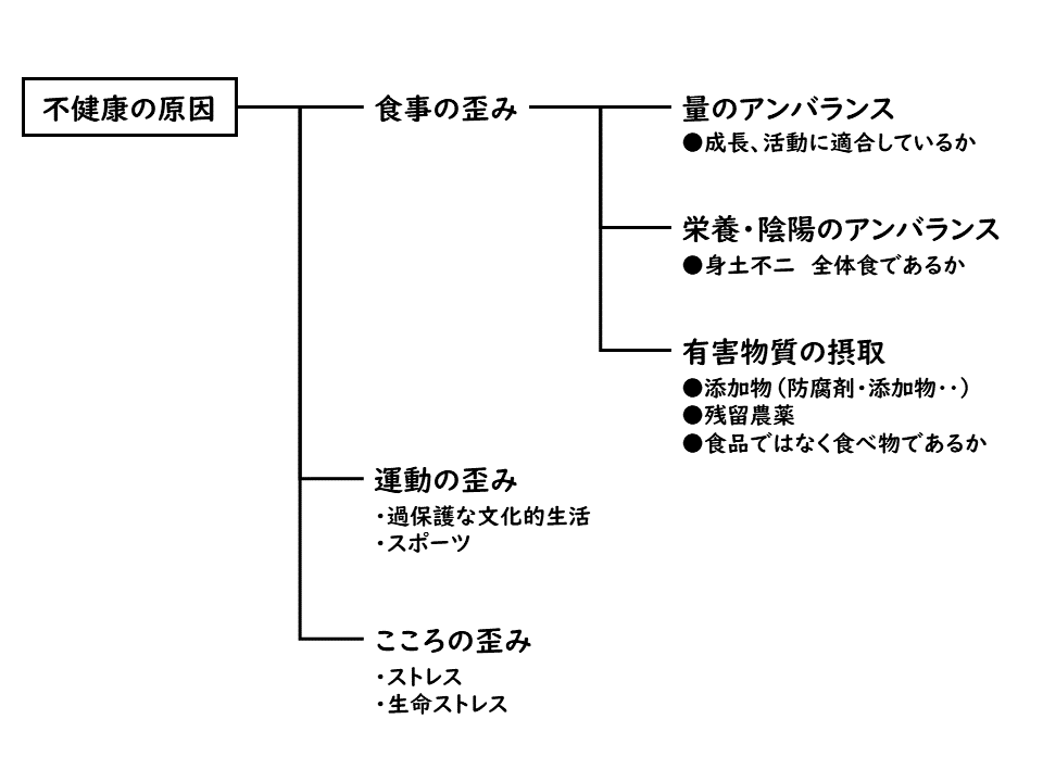 食養について